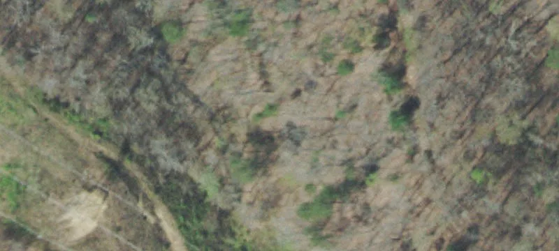 Green Ridge Trails Homesite