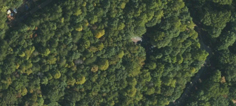Wooded Land Near Two Kings