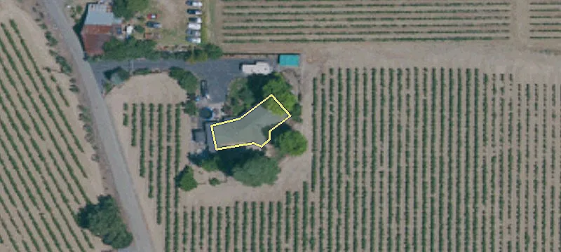 Healdsburg Vineyard Estate on Magnolia