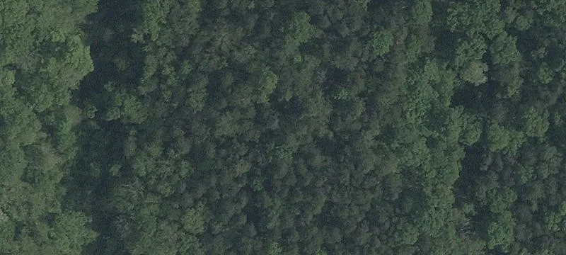 48 Acres of Open Land