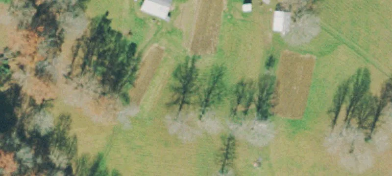 Cleared Land Near Big South Fork