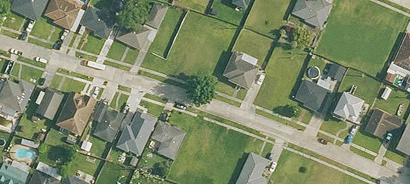 Buildable Lot with Mature Tree