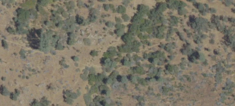 160 Acres with Natural Springs