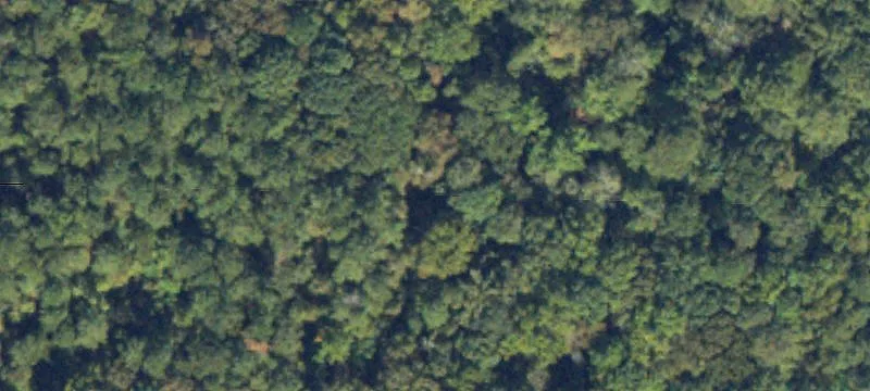Undeveloped Land with Creek Frontage