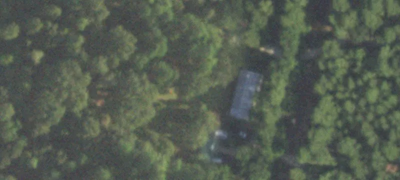 Wooded Acreage for Sale
