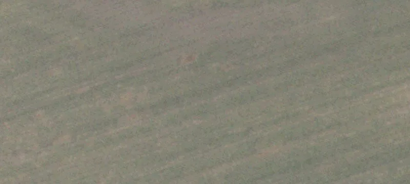 East Bernard Prairie Land