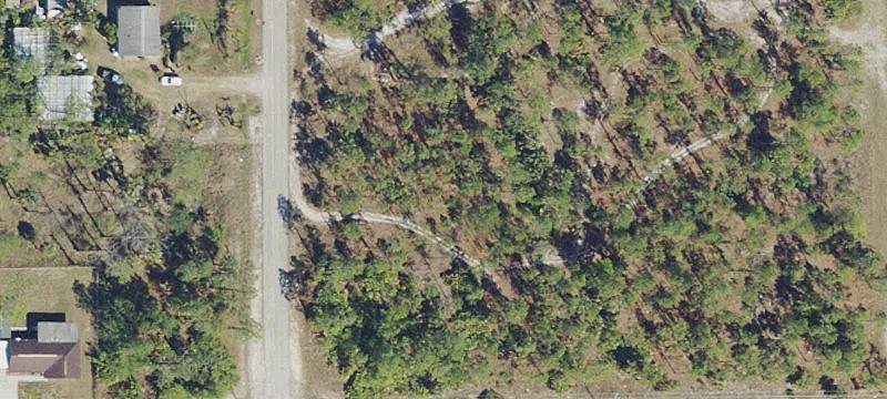Vacant Lot in Lehigh Acres