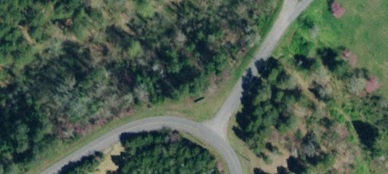 Land with Seasonal Lake Frontage