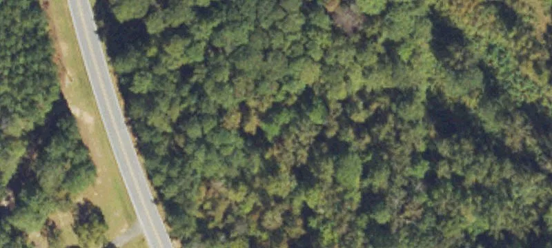 Large Acreage Estate Tract Opportunity