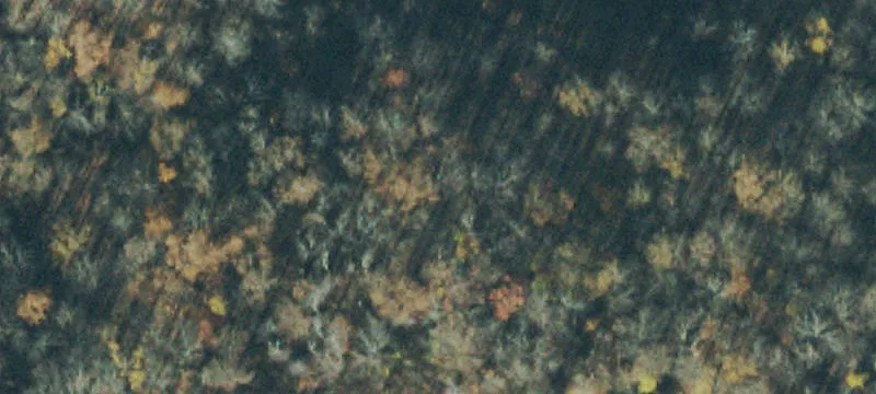 Dayton Mountain Land with Views