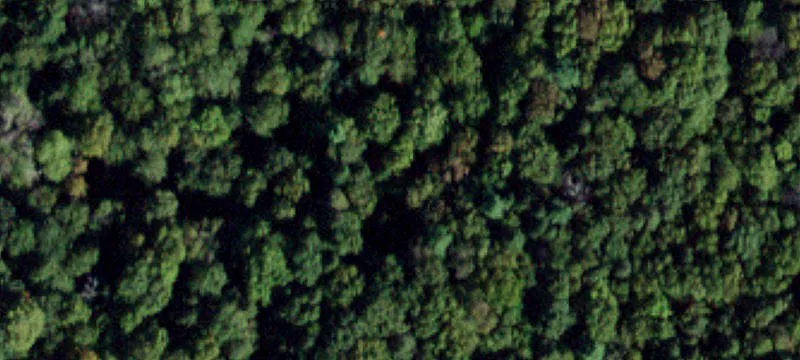 Wooded Lot in Delaware Ridge