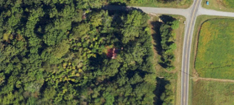 Forested Land Near I-40