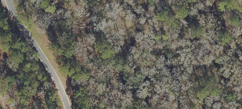 Almost One-Acre Lot