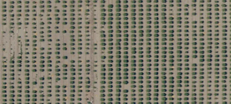 Riverdale Orchard with Two Homes