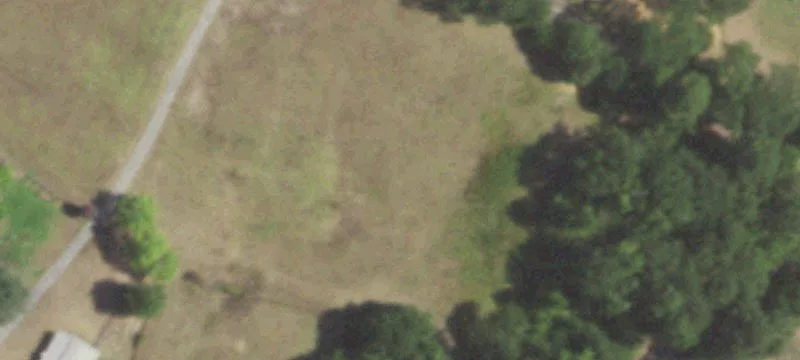East Texas Ranch with Home