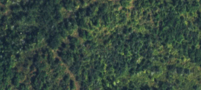 Whitewood Land with Mountain Views