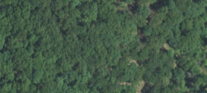 Residential Land in Rocky Mount
