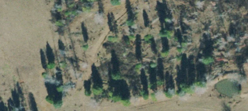 Land in Country Setting