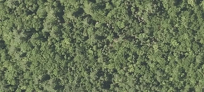 20.7 Acres in White Mountains