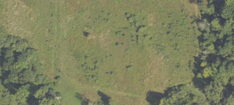Prime Land Near Gun Lake