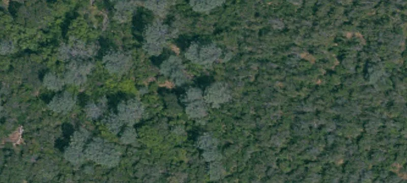Lakeview Land in Riviera Heights