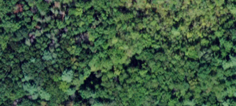 Secluded Land with Pond