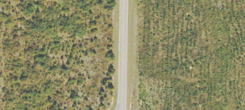 Greensboro Land Tract For Sale