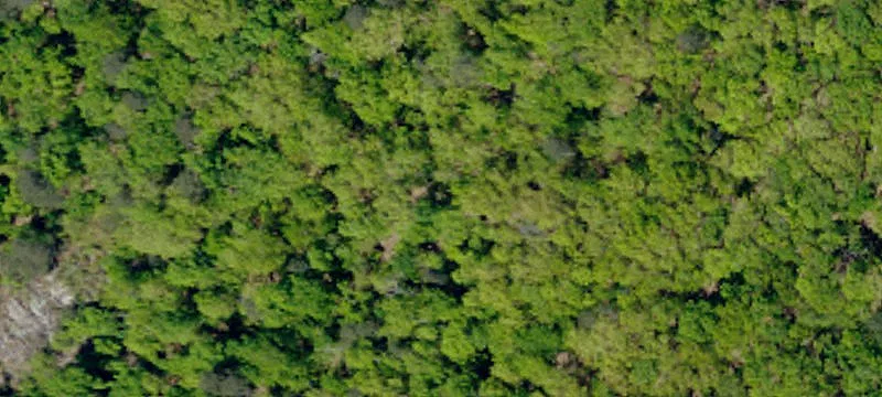 Protected Land Near Glassy Mountain