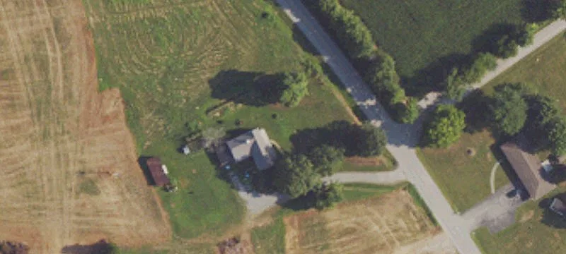 76.64 Acres Farm in Elkton