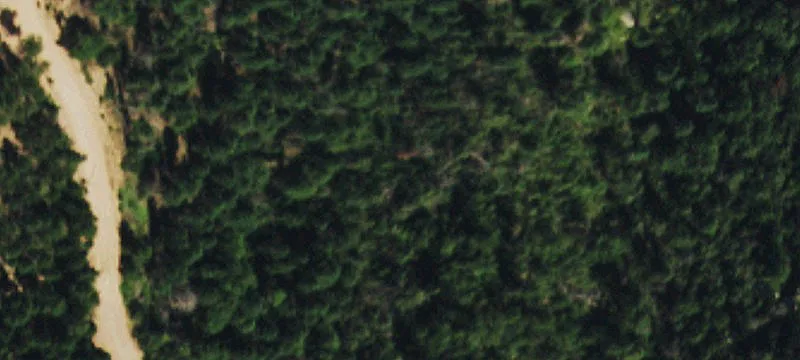 Larkspur Ready-to-Build Mountain Lot