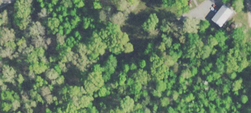 Two Wooded Lots Near Marina