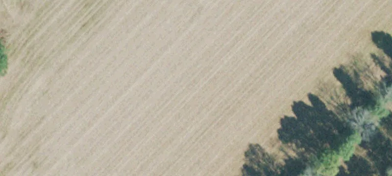 19-Acre Farm Tract For Sale
