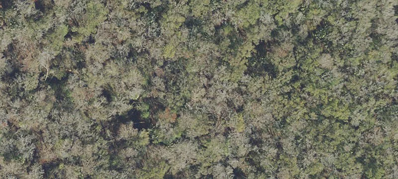 3.14 Acres Farmland Lot