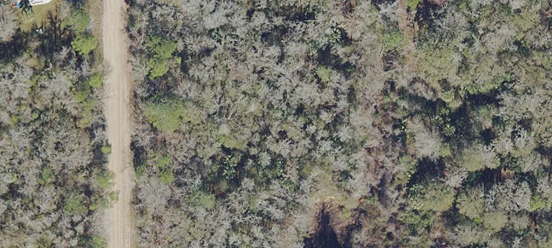 Daytona North Wooded Lot
