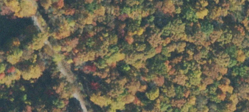 Wooded Lot in Gated Community