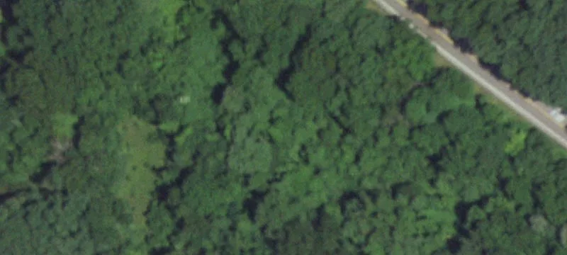 Wildwood Wooded Homesite Opportunity