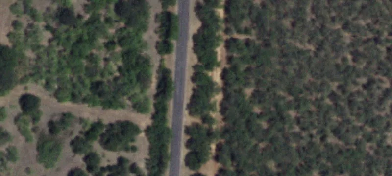 Eastland Hunting Land with Mobile Home