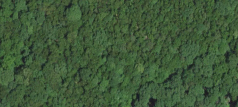 Scenic Acreage with Creek Frontage