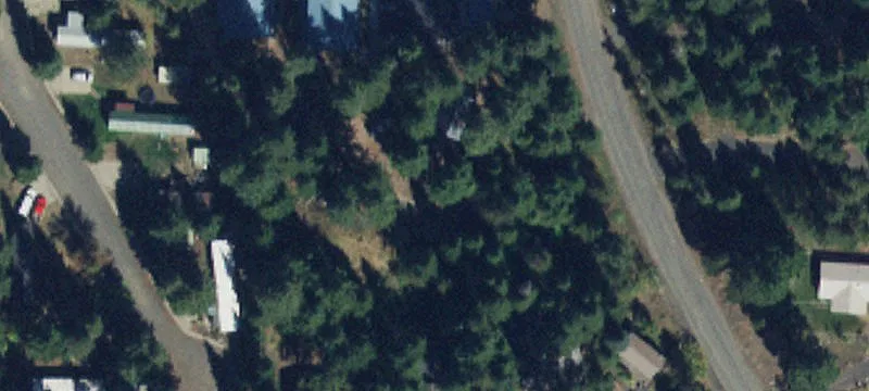 Treed Building Lot in McCall