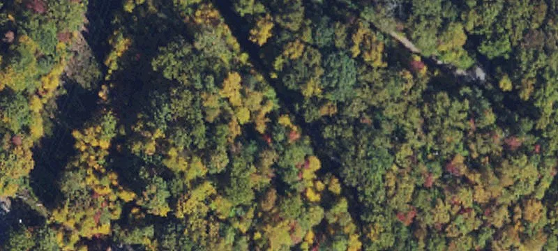 29 Acres Vacant Wooded Lot