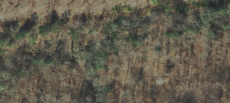 Wooded Building Site Near Norris Lake