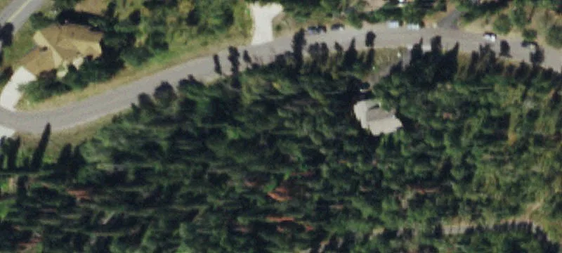 Mountain Village Lot with Views