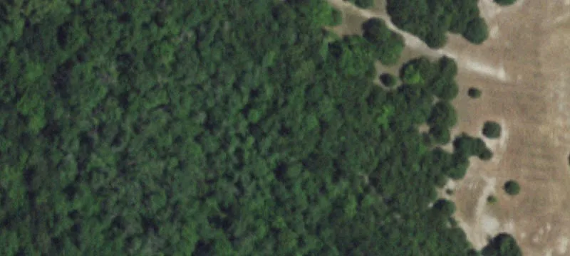 Fannin County Acreage Opportunity