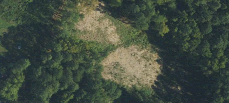 Cleared Land Near RTP, RDU