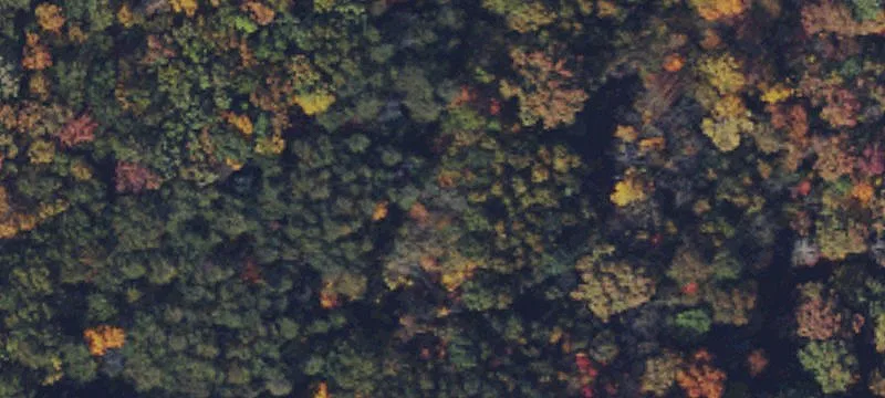 Secluded Mountain Hunting Land