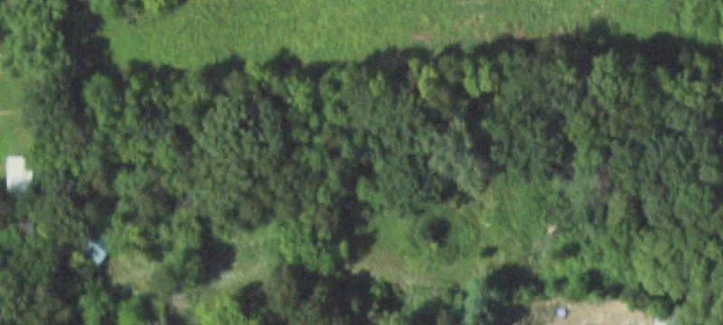 Wooded Land with Building