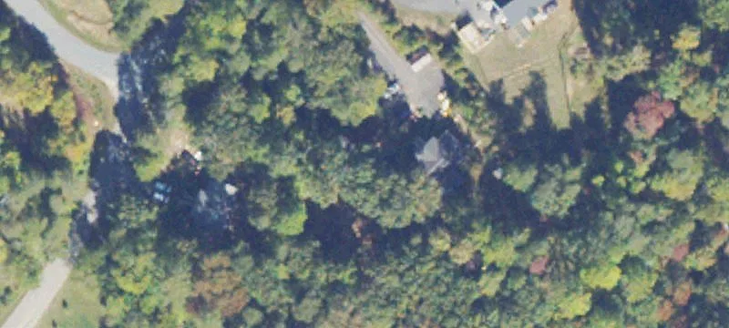 Stafford Buildable Wooded Lot