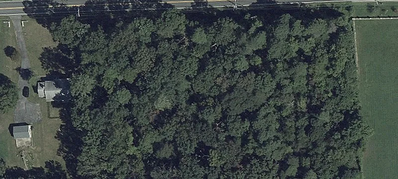 Spacious Wooded Lot Opportunity