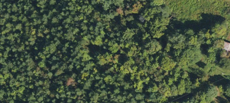Land Near South Mountains Park
