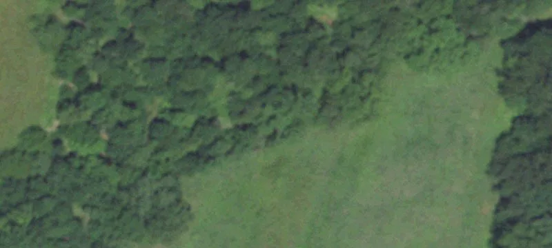 Perry County Land with Timber
